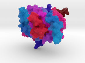 Single-Strand DNA-Binding Protein (SSB) in Full Color Sandstone