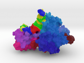 EcoRI complexed with DNA in Full Color Sandstone