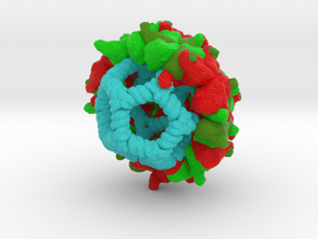 Pariacoto Virus  in Full Color Sandstone