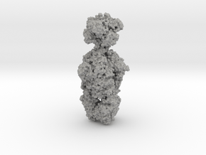 Putative Tailspike Protein of a Bacteriophage (Vol in Aluminum: Medium