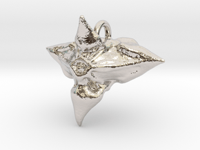 Caltrop Seed Pendant in Rhodium Plated Brass