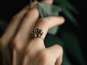 Succulent Stacking Ring No. 5 in Natural Brass: 8 / 56.75