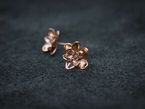 Wild Rose Earrings in Polished Bronze