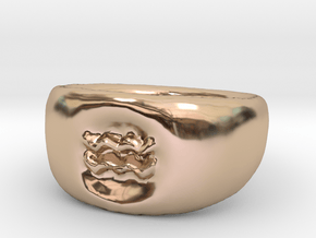 Aquarius Ring sz8 in 14k Rose Gold Plated Brass