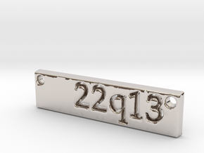 22q13 Bar Pendant in Platinum
