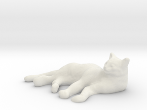 1/8 Sleeping Cat for Diorama in White Natural Versatile Plastic