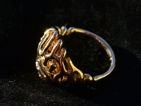 Reaction Diffusion Ring Nr. 6 (Size 56) in Polished Brass