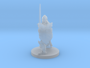 Helmed Paladin  in Smooth Fine Detail Plastic