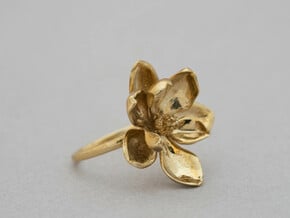 Magnolia Ring in Polished Brass: 5 / 49