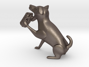 Drinking dog in Polished Bronzed Silver Steel