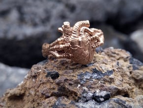 Dragon Power Ring in Natural Bronze: 10 / 61.5