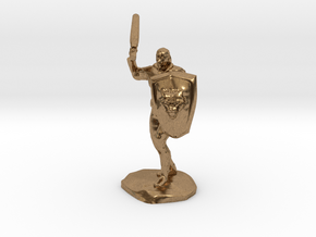 Barbarian with Sword and Bear Shield in Natural Brass
