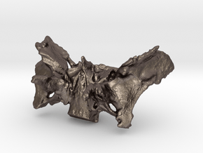 Human Sphenoid Bone Pendant in Polished Bronzed Silver Steel