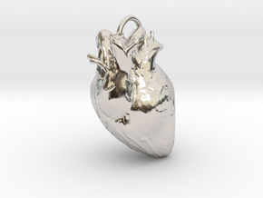 Heart pendant in Rhodium Plated Brass: Small