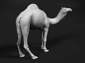 Dromedary 1:72 Standing Female in Tan Fine Detail Plastic