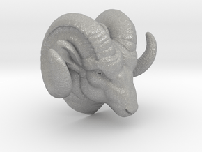 Aries Pendant in Aluminum