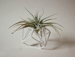 Ruba Rombic Edge Air Plant Vase in White Natural Versatile Plastic