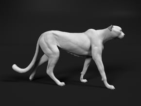 Cheetah 1:16 Walking Male 1 in White Natural Versatile Plastic