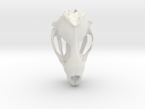 Leopard Seal Skull  (110mm) in White Natural Versatile Plastic