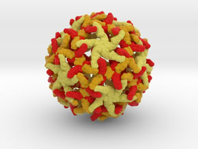 Yellow Fever Virus in Full Color Sandstone