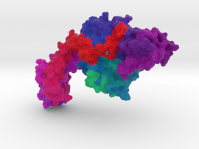 DNA Gyrase in Full Color Sandstone