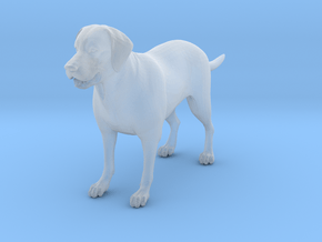 Dog in Smooth Fine Detail Plastic