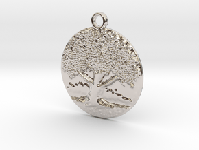 The big old tree in Rhodium Plated Brass