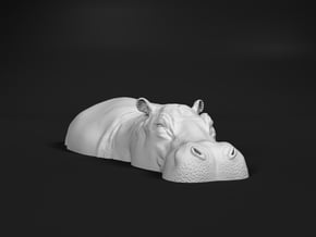 Hippopotamus 1:45 Lying in Water 2 in White Natural Versatile Plastic