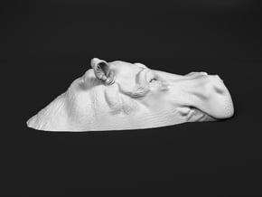 Hippopotamus 1:35 Lying in Water 3 in White Natural Versatile Plastic