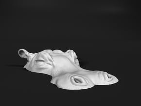 Hippopotamus 1:20 Lying in Water 5 in White Natural Versatile Plastic