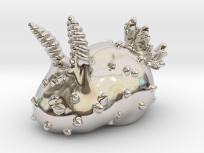 jorunna parva_white sea bunny in Rhodium Plated Brass: Small