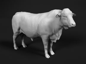 Brangus 1:6 Standing Bull 1 in White Natural Versatile Plastic