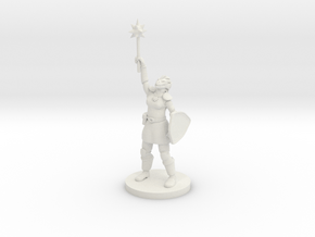 Female Dragonborn Paladin / Cleric in White Premium Versatile Plastic