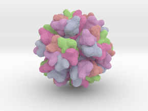 Adenovirus Serotype 3 in Full Color Sandstone