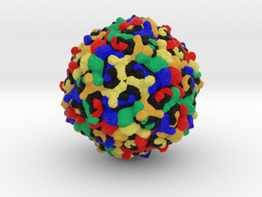Enterovirus 71 in Full Color Sandstone