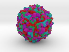 Enterovirus 71  in Full Color Sandstone