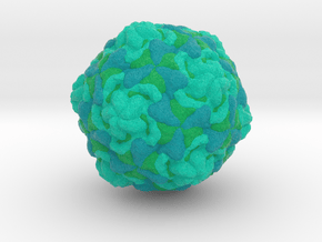 Echovirus in Full Color Sandstone