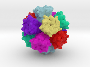 Adenovirus Serotype 2 in Full Color Sandstone