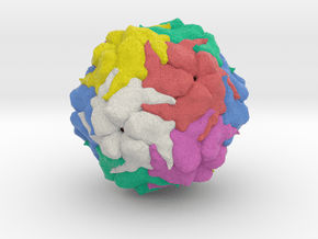 Porcine Circovirus Type 2 in Full Color Sandstone