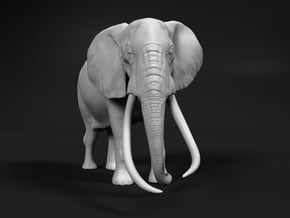 African Bush Elephant 1:48 Tusker Bull Satao in White Natural Versatile Plastic