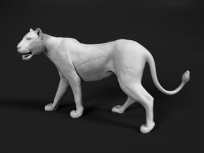 Lion 1:48 Walking Lioness 1 in White Natural Versatile Plastic
