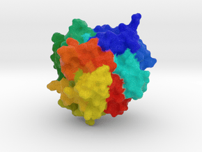 Carboxypeptidase A  in Full Color Sandstone