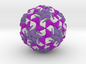 Rhinovirus Serotype 1 in Full Color Sandstone