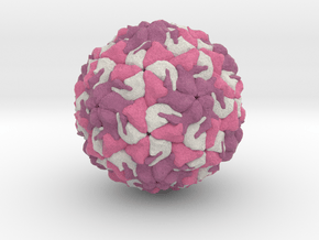 Rhinovirus Serotype 1 in Full Color Sandstone