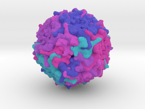  Human Bocavirus 1 in Full Color Sandstone