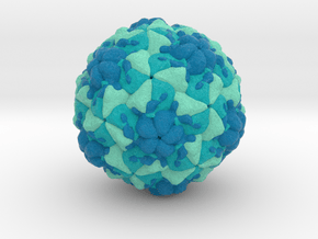 Rhinovirus Serotype 3 in Full Color Sandstone