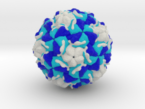Rhinovirus Serotype 2 in Full Color Sandstone