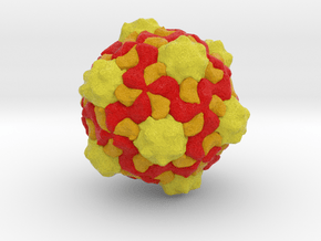 Cowpea Mosaic Virus in Full Color Sandstone