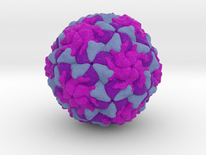 Rhinovirus Serotype 16 in Full Color Sandstone