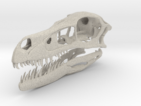 1:1 Velociraptor mongoliensis Skull and Jaw in Natural Sandstone